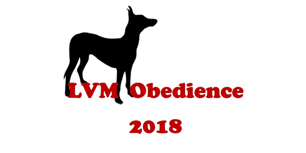 Starterliste und Startnummer zur LVM-Obedience 27.05.2018