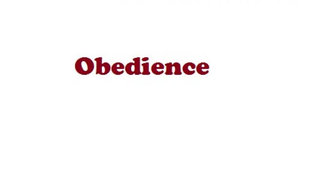 Obedience-Infobrief 01-2019