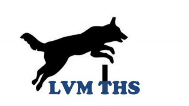 Zeitplan und Anfahrt zur LVM THS 2019