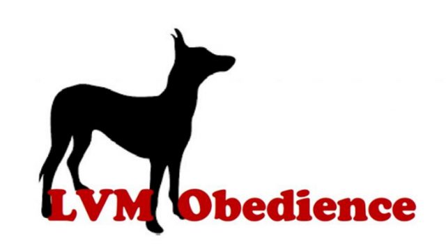 Ergebnisse LVM Obedience  –  Landesmeisterin 2019 ist Brigitte Lange mit ihrer Juma