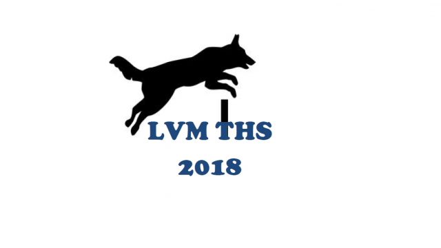 Einladung LVM THS 2018