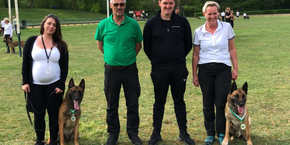 DVG BSP IPO 3 2018 in Gelsenkirchen