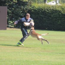 Training für die LVM FCI IGP 3 2025