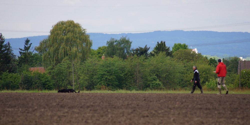 LV Meisterschaft FH 2 Ravensberg – Lippe 2018