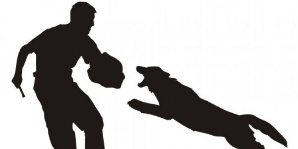 Einladung SK Verlängerungsworkshop IPO