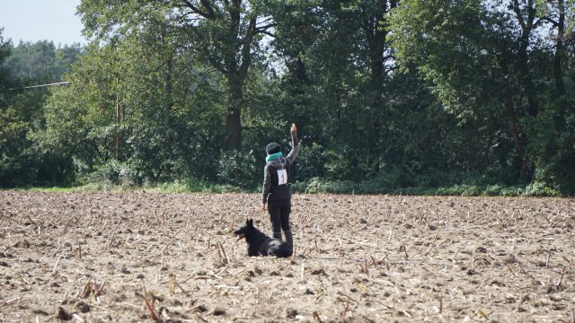 Landesmeisterin 2017 LV FH 2 ist Isolde Rose mit Ihrem Drago