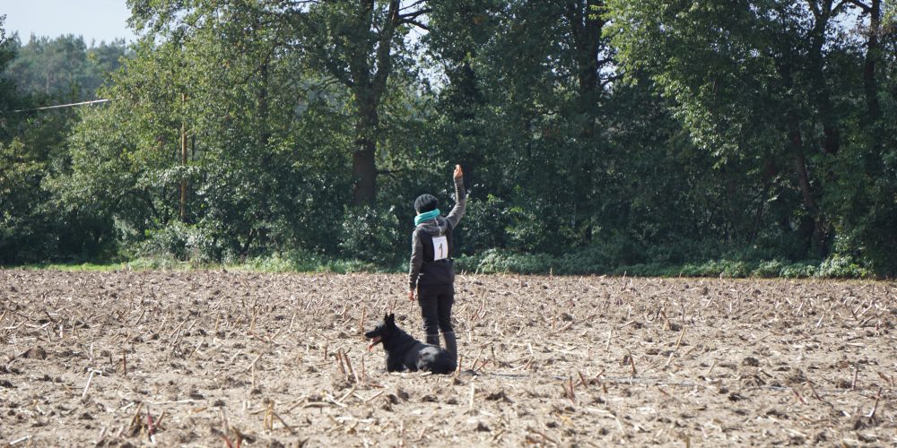 Landesmeisterin 2017 LV FH 2 ist Isolde Rose mit Ihrem Drago