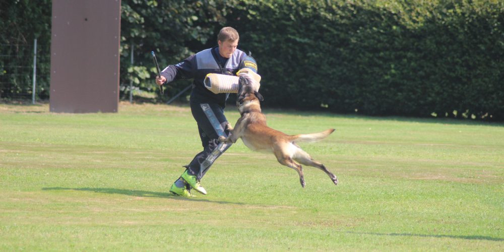 Training für die LVM IGP 2020
