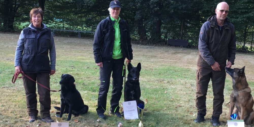 LVM Fährtenhund 2016