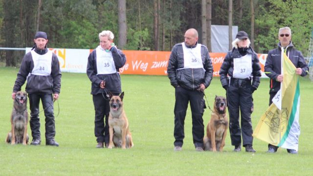 BSP Gebrauchshundesport in Hamburg/Brietlingen