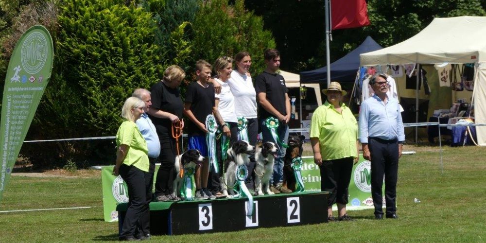 Bundessiegerprüfung  Obedience  in Emmendingen