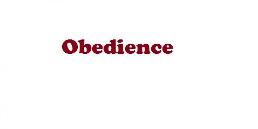 Obedience-Infobrief 01-2019