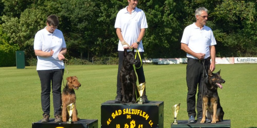 Landessiegerin 2015 – Isolde Rose