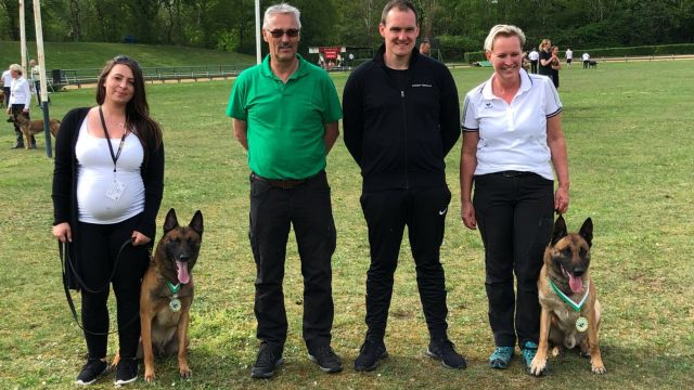 DVG BSP IPO 3 2018 in Gelsenkirchen