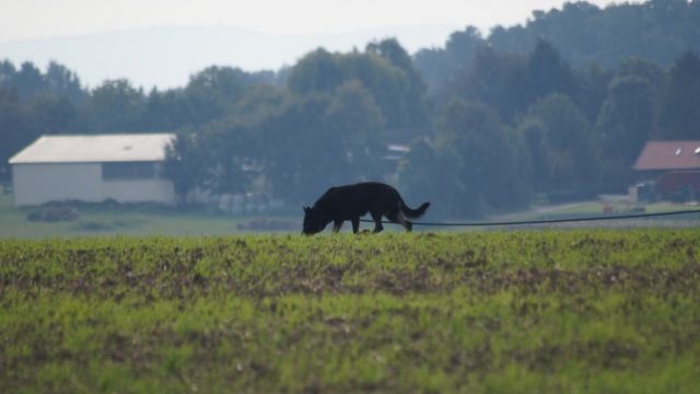 Neues zur LVM FH 2 am 03.10.2017 Katalog und Ablaufplan