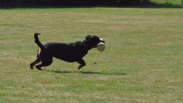 Neues zur LVM GHS 2017 in Hiddenhausen