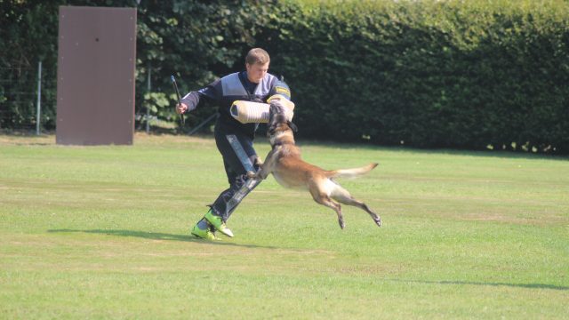 Training für die LVM FCI IGP 3 2025