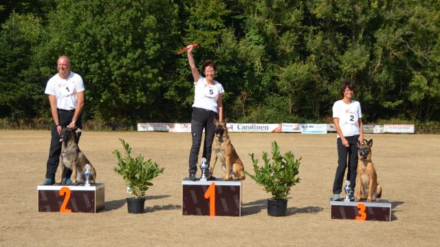Landesmeisterin GHS 2018 ist Irmgard Steinberg mit Ihrem Faros vom Hause Mecki