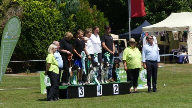 Bundessiegerprüfung  Obedience  in Emmendingen