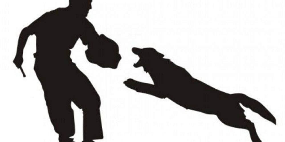 Abfrage für ein Seminar   – SK- Verlängerung und Neuerwerb IPG