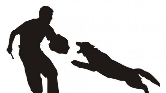 Einladung SK Verlängerungsworkshop IPO