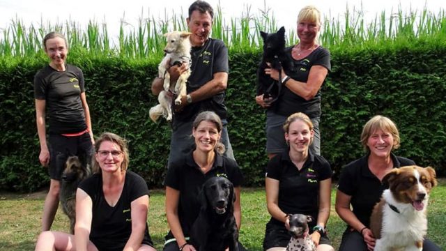 DVM Qualifikation Agility