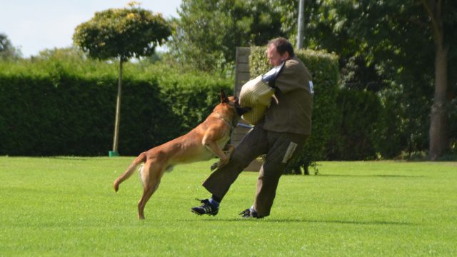 Landesmeisterin GHS 2017