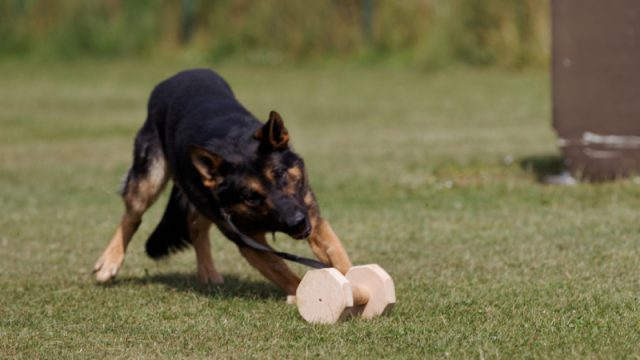 LVM GHS IPO am 25-26. August 2018