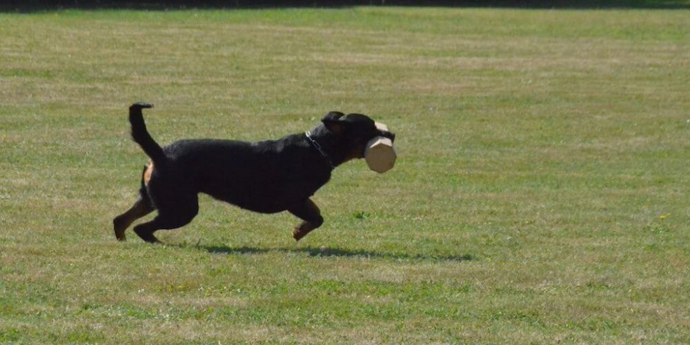 Neues zur LVM GHS 2017 in Hiddenhausen