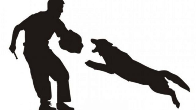 Abfrage für ein Seminar   – SK- Verlängerung und Neuerwerb IPG