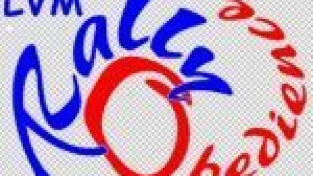 Landesverbandsmeisterschaft Rally Obedience am 25.06.2023 -> Ergebnisse