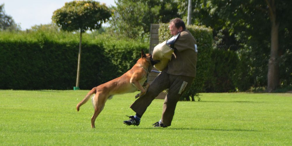 Landesmeisterin GHS 2017