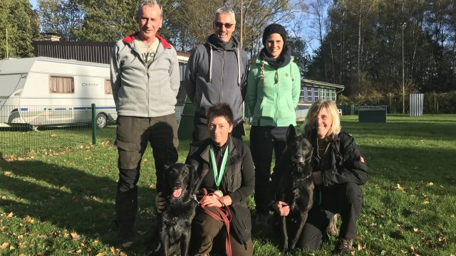 DVG BSP IPO FH 2 2017