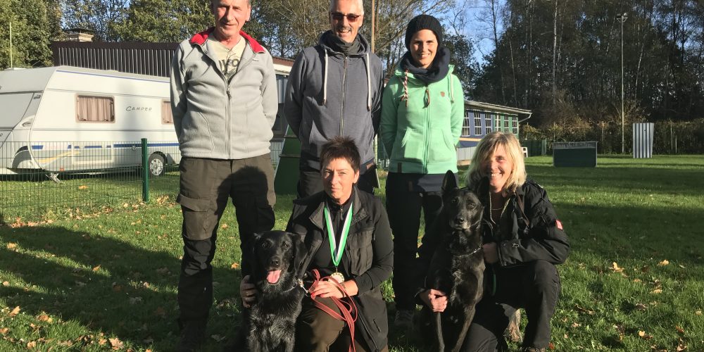 DVG BSP IPO FH 2 2017