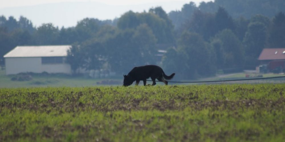 Neues zur LVM FH 2 am 03.10.2017 Katalog und Ablaufplan