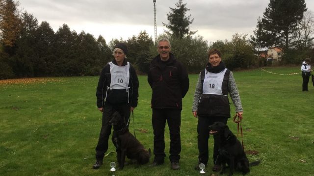 DVG Bundessiegerprüfung FH 2016