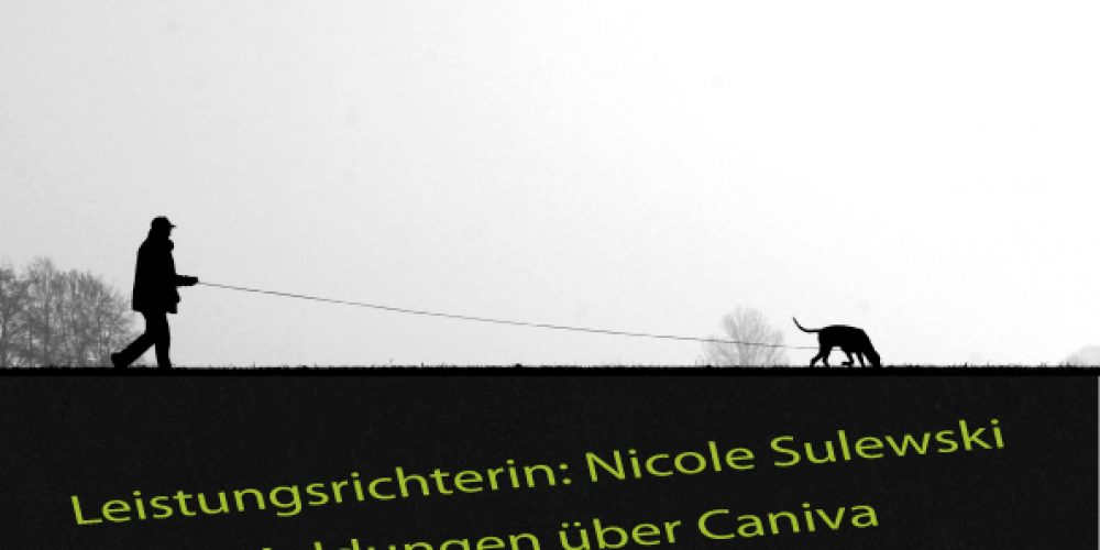 Landesmeisterschaft IFH 2 Ravensberg-Lippe am 03.10.2020 beim DVG Melle