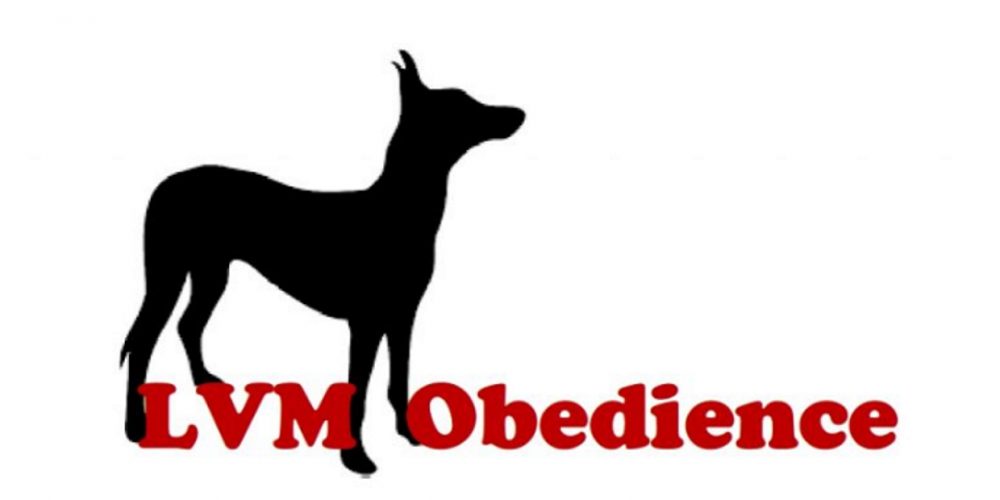Ergebnisse LVM Obedience  –  Landesmeisterin 2019 ist Brigitte Lange mit ihrer Juma
