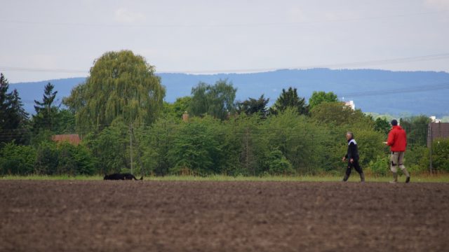 LV Meisterschaft FH 2 Ravensberg – Lippe 2018