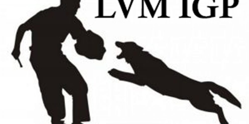 Qualifikation zu den LV Meisterschaften Ravensberg-Lippe 2023