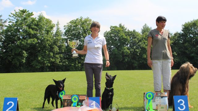 LVM Obedience 2018