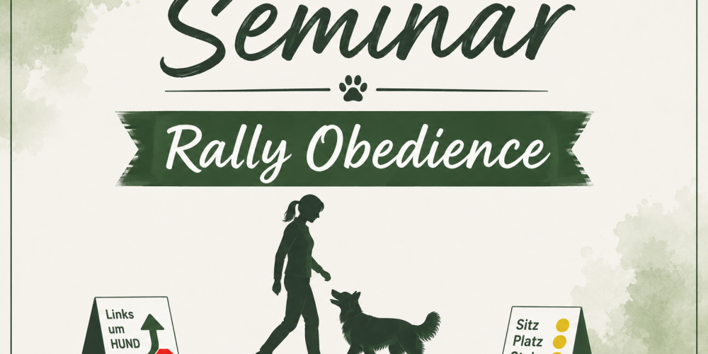 SKN Erwerbsseminar Rally Obedience