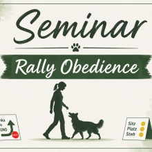 SKN Erwerbsseminar Rally Obedience