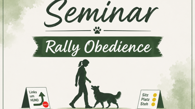 SKN Erwerbsseminar Rally Obedience