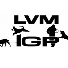 Prüfungsablauf Landesverbandsmeisterschaft GHS IGP 3 am 20. September 2026 beim GHSV Hiddenhausen