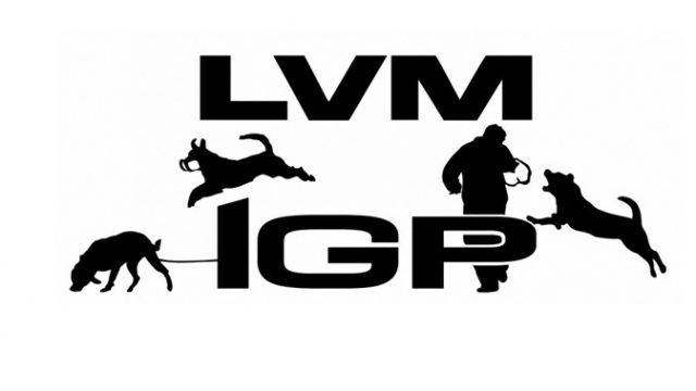 Prüfungsablauf und Fährtengelände der Landesverbandsmeisterschaft GHS IGP 3 am 20. September 2026 beim GHSV Hiddenhausen