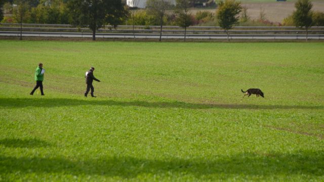 Ablaufplan LVM IFH 2          am 03.10.2019