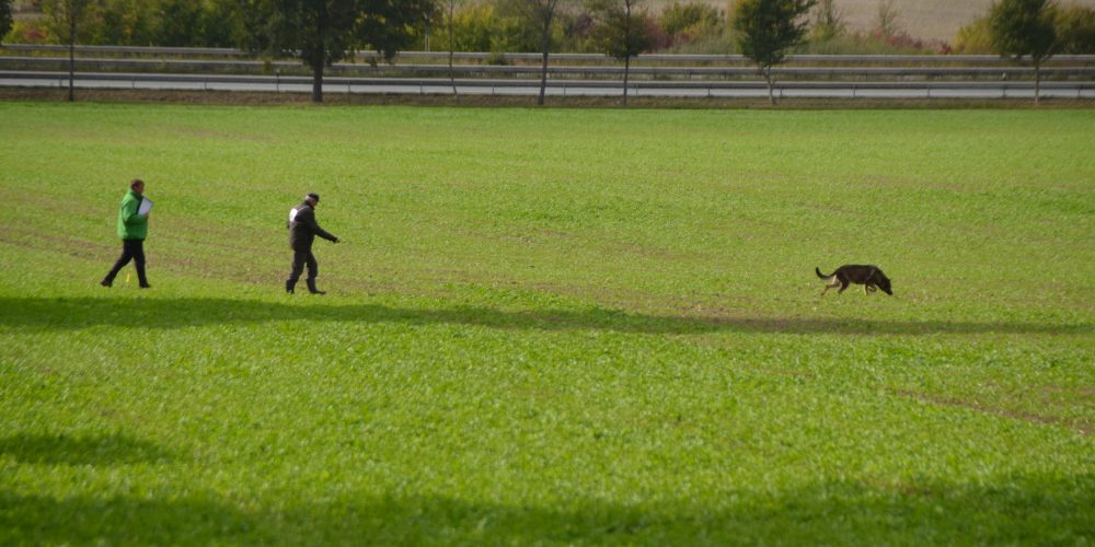 Ablaufplan LVM IFH 2          am 03.10.2019